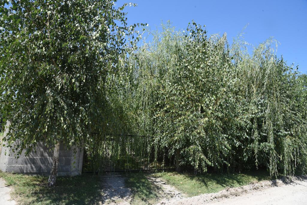 Holiday Home Kucica Na Drvetu Banja Koviljača Buitenkant foto